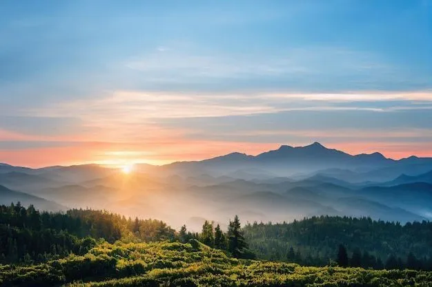 the sun is setting over mountains and trees in the foreground, with fog on the ground
