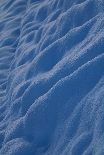 Free Snow Winter photo and picture