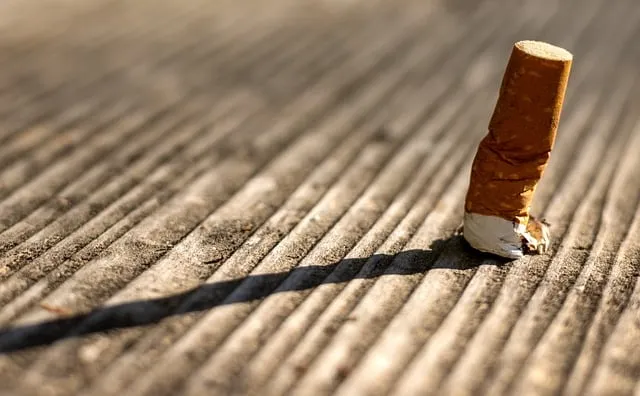 Free Cigarette Smoking photo and picture