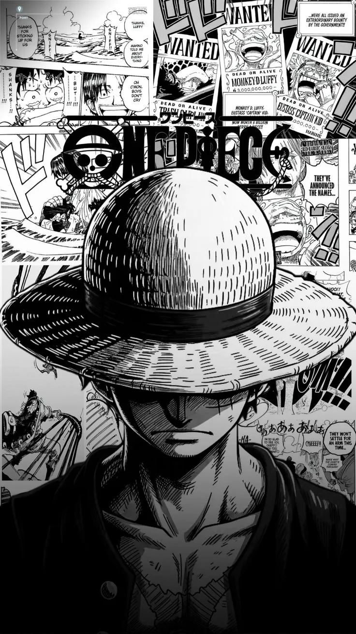 Monkey D. Luffy One piece !!