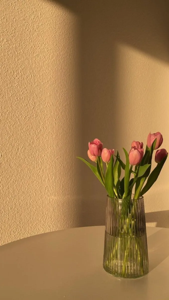 some pink flowers are in a glass vase on a white table with the sun shining through