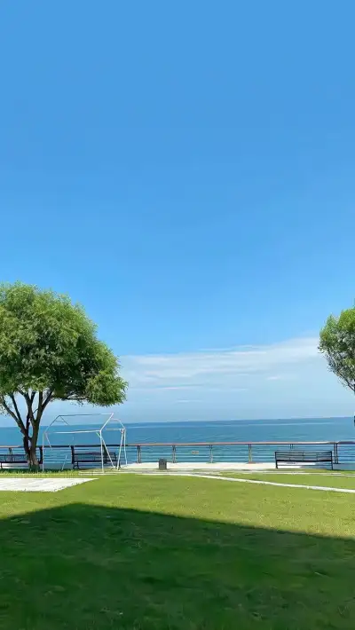 晴天 来源：紫色背景图