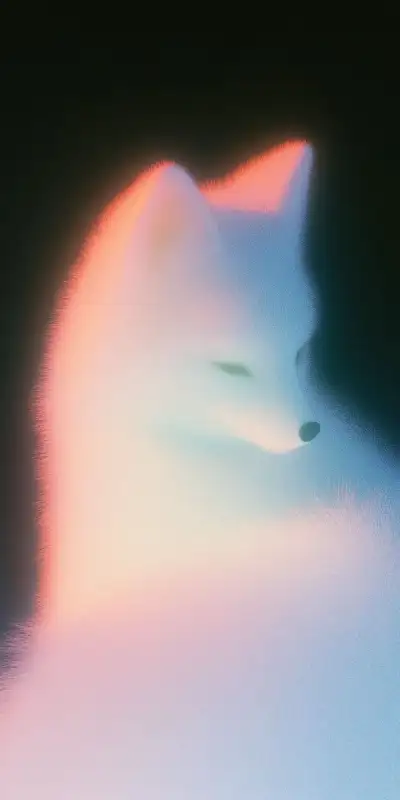 a blurry image of a white cat's face