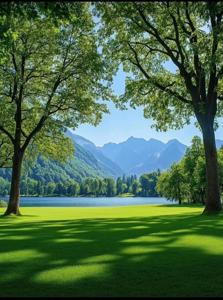 trees and grass in the foreground with mountains in the backgrouds behind them