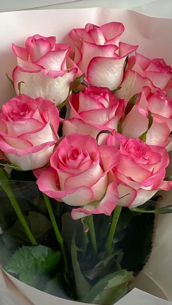 a bouquet of pink and white roses in a vase