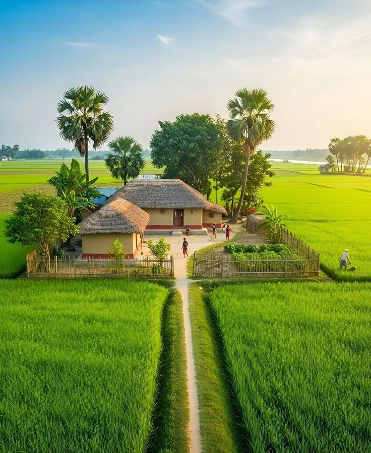 an aerial view of a house in the middle of a rice field