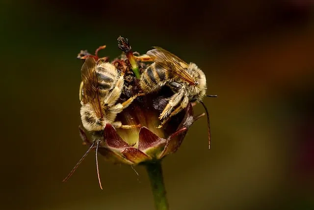 Free Sleepy Sleeping photo and picture