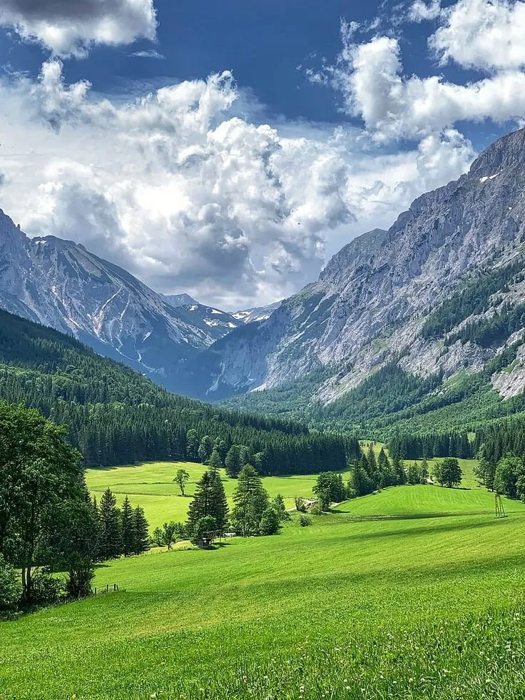 the mountains are covered with green grass and trees in the foreground is a valley