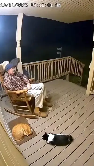 Los gatitos los alimentos que tienen tu casa lo cuidan al dueño miren este vidito qué maravilloso qué lindo los gatitos le defienden desde tremendo oso pan #cuenca #ecuador #videosgraciosos #amigas