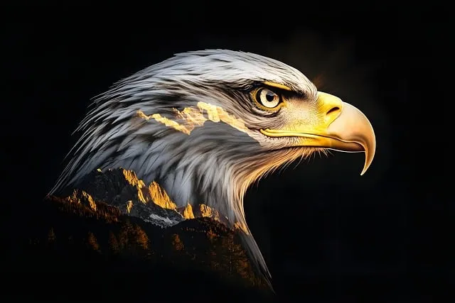Free Eagle Liberty illustration and picture