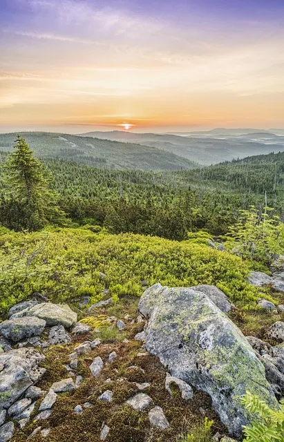 Free Lusen Mobile Wallpaper photo and picture