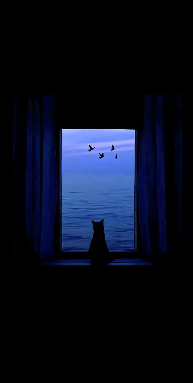 a cat sitting on a window sill looking out at the ocean and birds flying in the sky