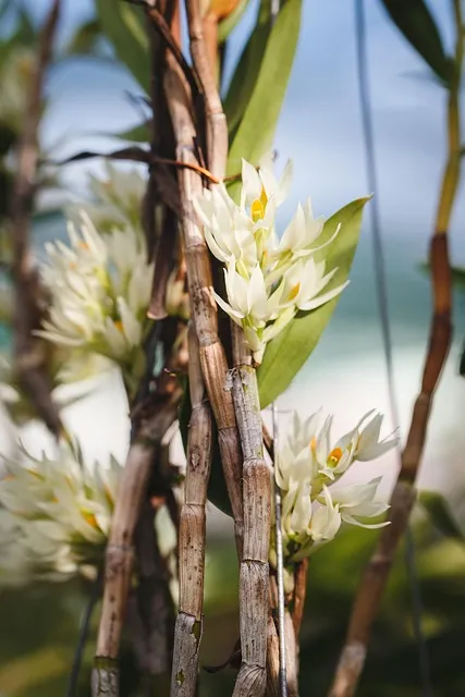 Free Natural Beautiful Wallpaper photo and picture