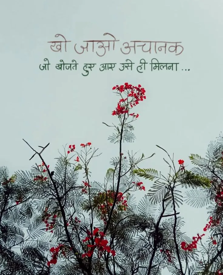 जो खोजते हुए  आए वही अपना है।।💯Follow -@hindii.khyaal #hindiikhyaal #inspiration #success #motivation #truth #life #gulzar #shyri #trending #instagood