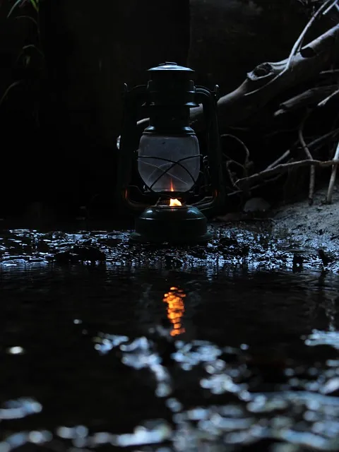 Free Lantern Lighting photo and picture