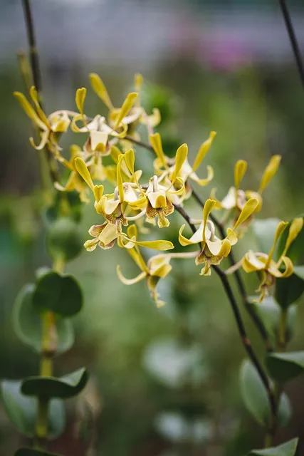 Free Natural Pure Fresh photo and picture