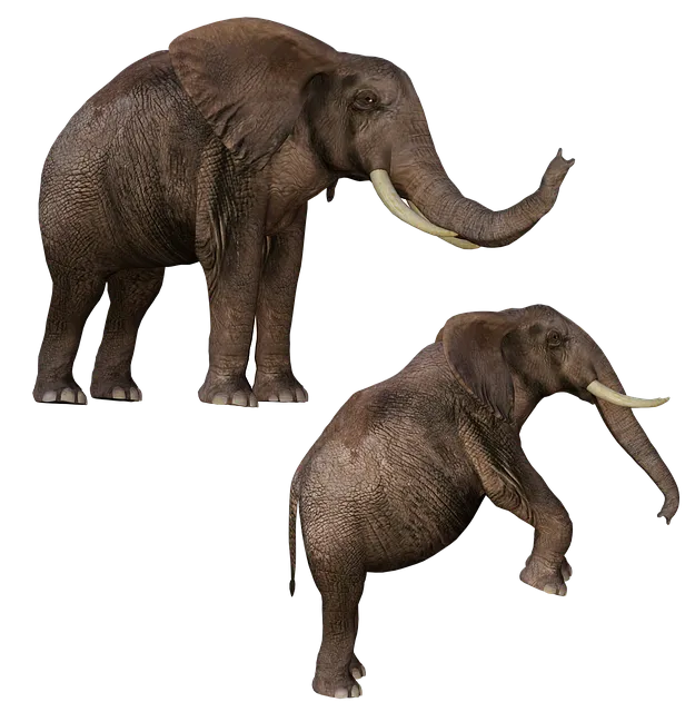 Free Elephant Animal illustration and picture