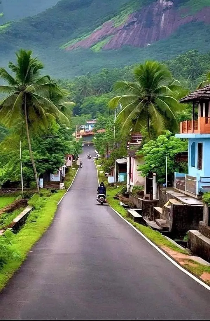 an empty street with palm trees on both sides and mountains in the backgrouds