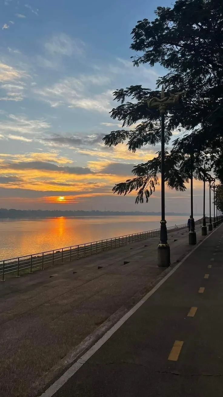 the sun is setting behind some trees on the side of the road by the water