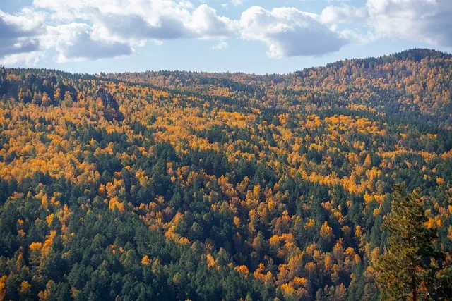 Free Autumn Mountains photo and picture