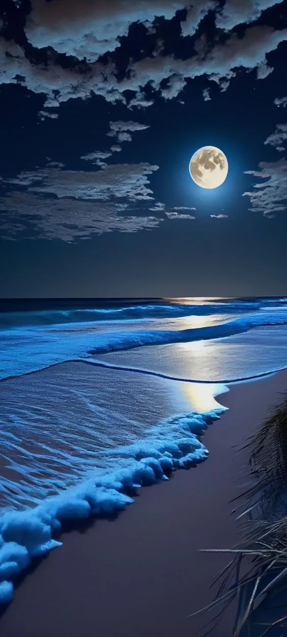 the moon is setting over the ocean with waves coming in to shore and grass on the beach