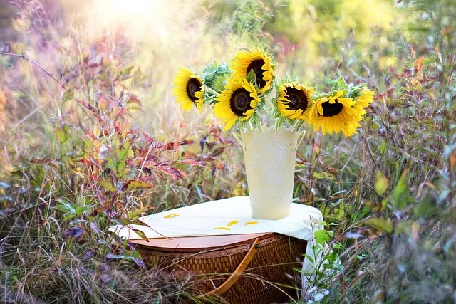 Free Sunflowers Flower Wallpaper photo and picture