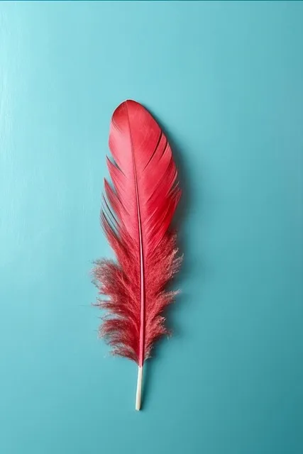 Free Feather Decoration photo and picture
