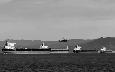 Free B W Us Army photo and picture