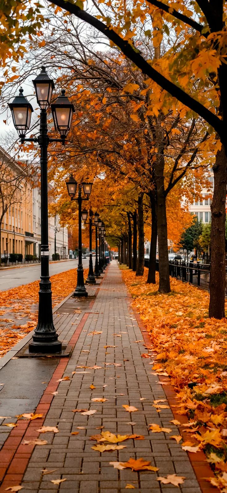 Autumn Street Lamps
