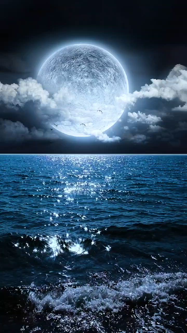 Moonlight Ocean